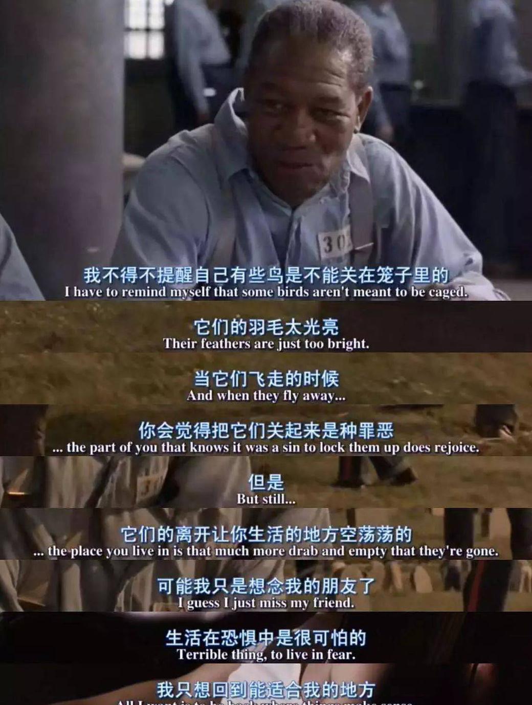 海外如何看央视直播教程